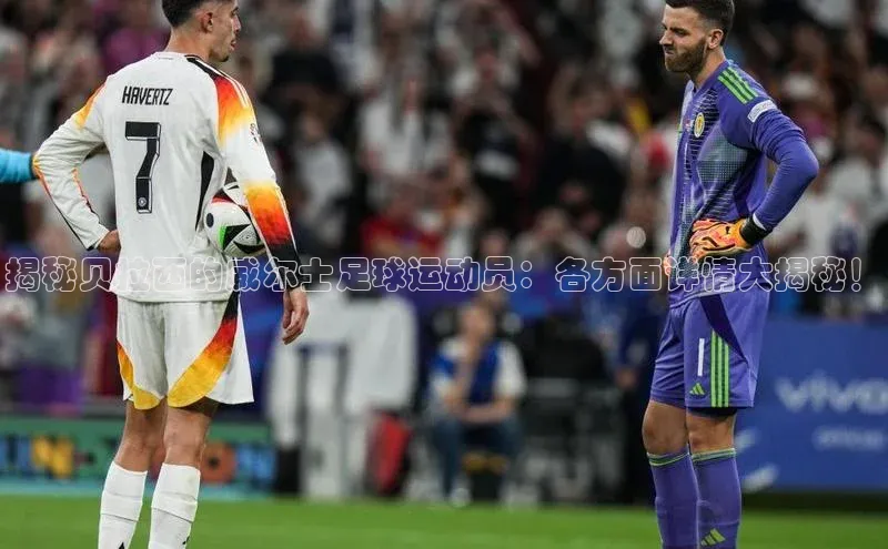 球盟会官方登录平台入口天键股份揭秘贝拉西的威尔士足球运动员：各方面详情大揭秘！