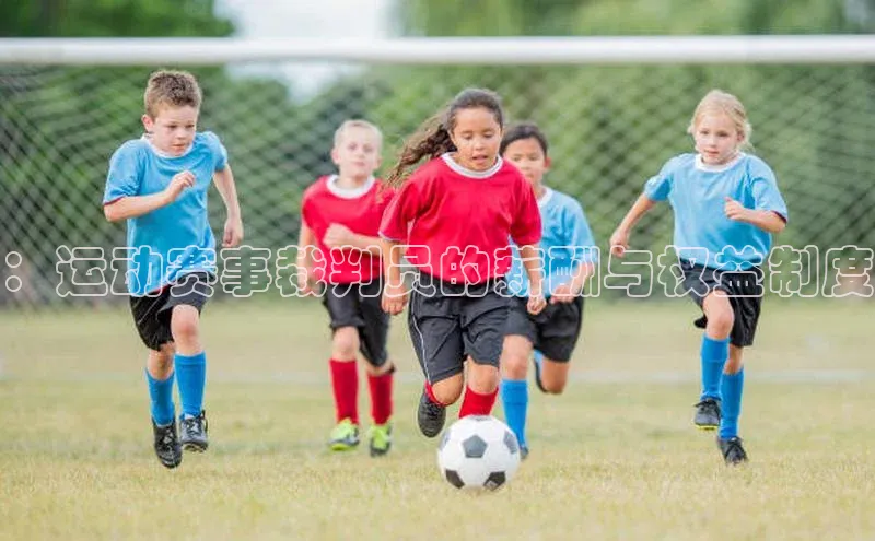 ：运动赛事裁判员的薪酬与权益制度