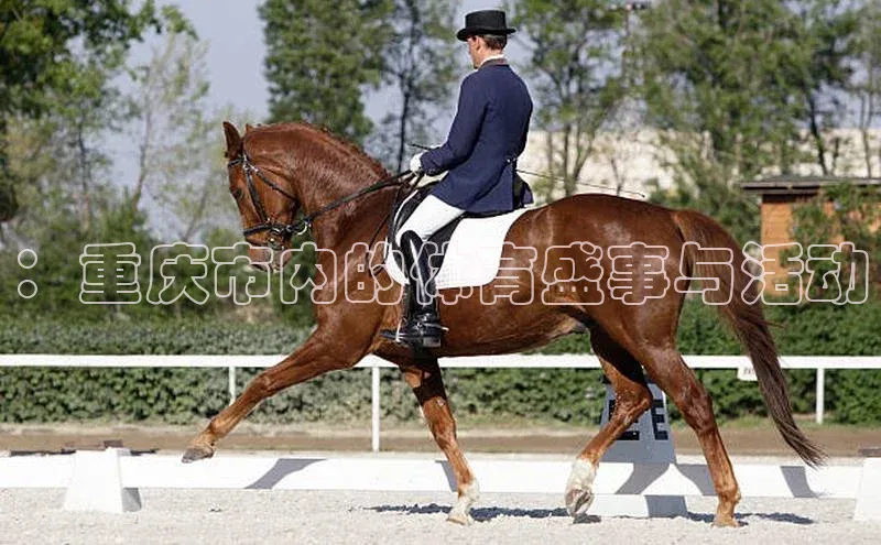 ：重庆市内的体育盛事与活动