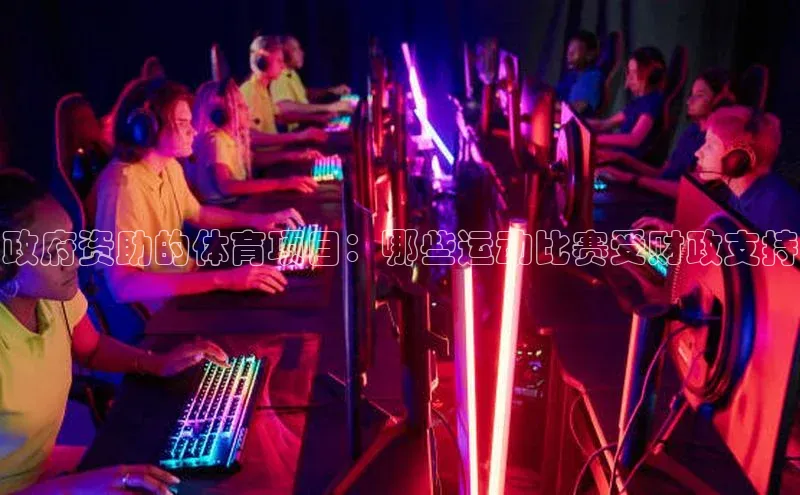 政府资助的体育项目：哪些运动比赛受财政支持