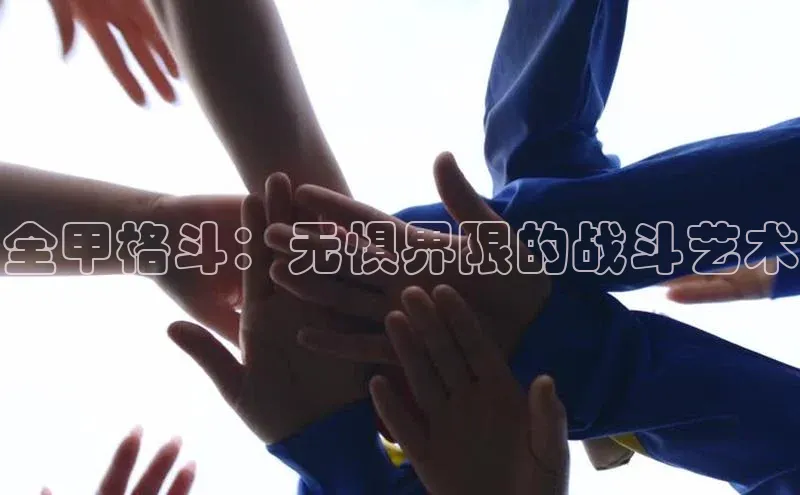 全甲格斗：无惧界限的战斗艺术