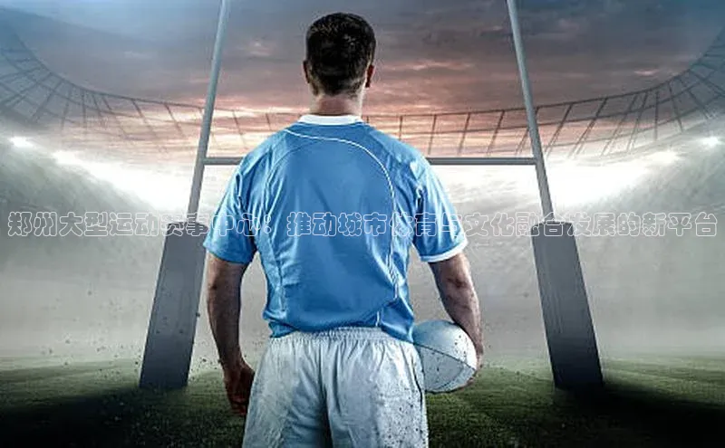 郑州大型运动赛事中心：推动城市体育与文化融合发展的新平台