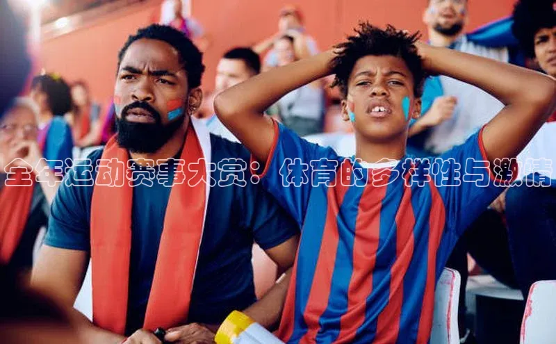 全年运动赛事大赏：体育的多样性与激情