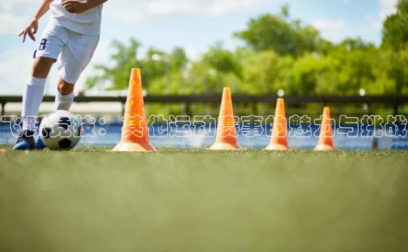 飞跃竞技：其他运动赛事的魅力与挑战