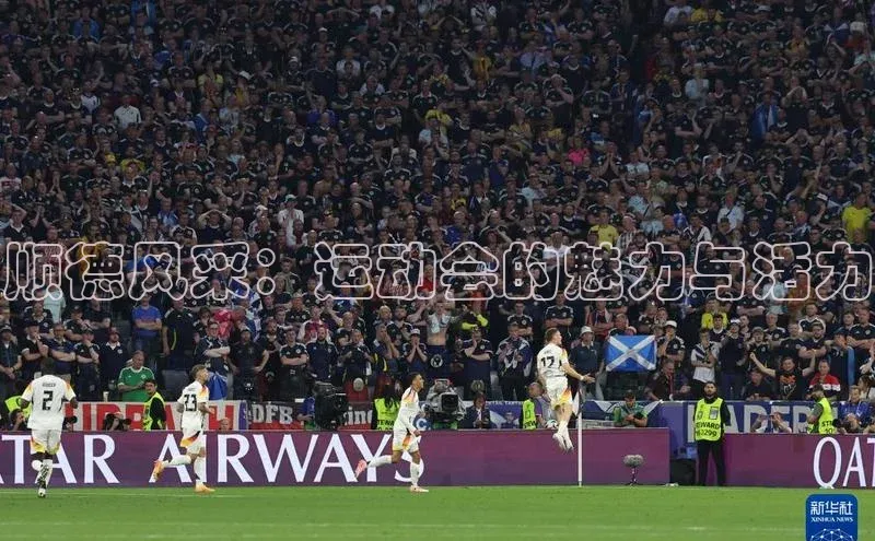 顺德风采：运动会的魅力与活力