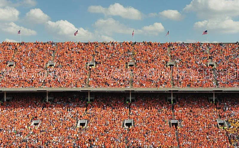 构建运动的辉煌：一场精心策划的比赛组织指南