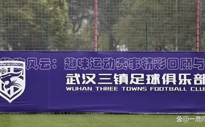 趣跑风云：趣味运动赛事精彩回顾与