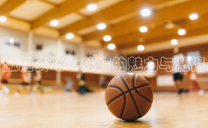 激越赛场：体育的魅力与激情